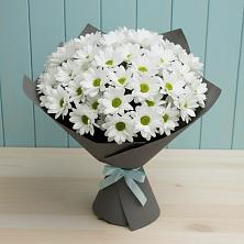 Букет цветов из:  Хризантемы в Бежецке