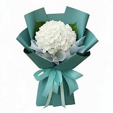Букет цветов из:  Гортензия в Бежецке